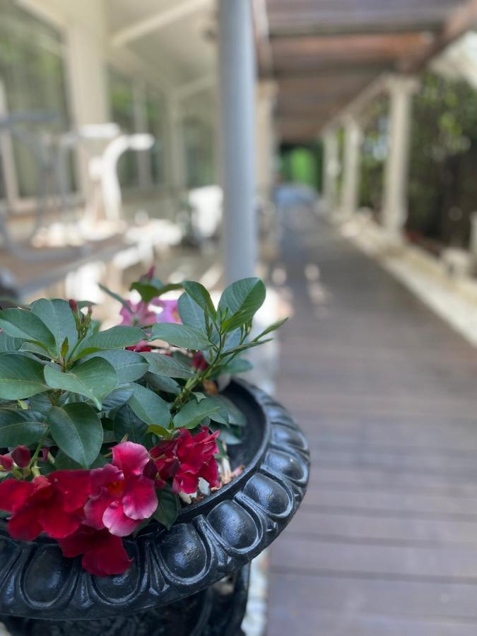 Park Hotel Cellini Lido di Jesolo Ngoại thất bức ảnh